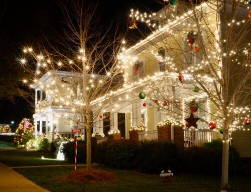Grapplers Pickup & Reaching Tools: Your Holiday Decorating Heroes!