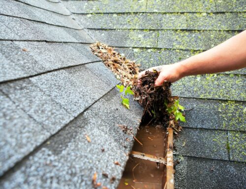 Fall Cleanup Made Easy: Tips & Tools For a Fresh Season