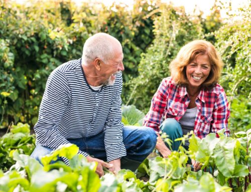 Spring Gardening With Limited Mobility: How the Right Reach Tool Changes Everything