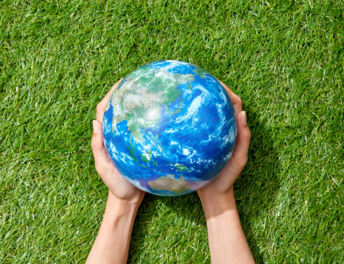 How to Organize an Earth Day Cleanup & The Best Litter Pickup Tools for Volunteers